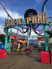 by mitann, Views[261]