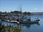 by mitann, Views[332]