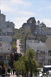 by mitann, Views[327]