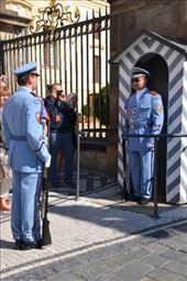 by mitann, Views[299]