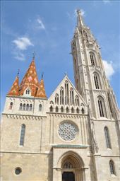 by mitann, Views[246]