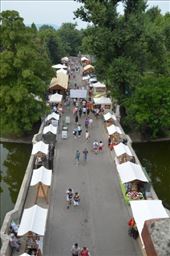 by mitann, Views[368]