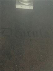 by mitann, Views[210]