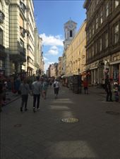 by mitann, Views[419]