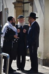 by mitann, Views[332]