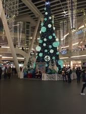 by mitann, Views[273]