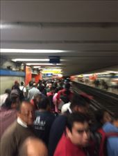 by mitann, Views[174]