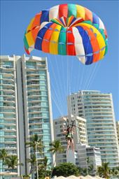 by mitann, Views[229]