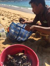 by mitann, Views[253]