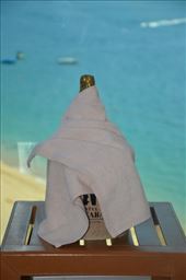 by mitann, Views[240]