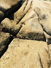 by mitann, Views[174]