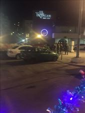 by mitann, Views[287]