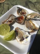 by mitann, Views[165]