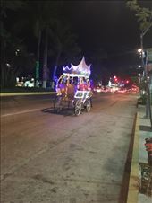 by mitann, Views[162]