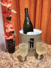 by mitann, Views[269]