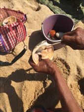 by mitann, Views[266]