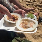 by mitann, Views[235]