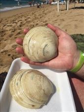 by mitann, Views[228]