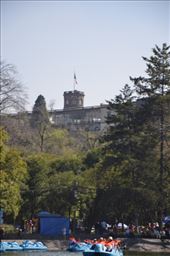 by mitann, Views[175]