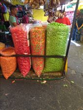 by mitann, Views[221]