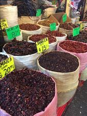 by mitann, Views[204]