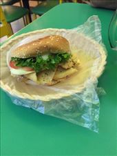 by mitann, Views[302]