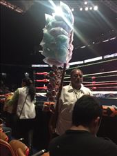 by mitann, Views[214]