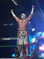 by mitann, Views[235]