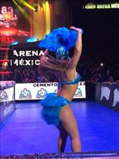 by mitann, Views[287]