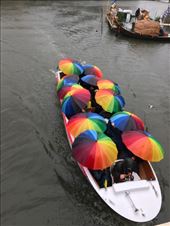 by mitann, Views[302]