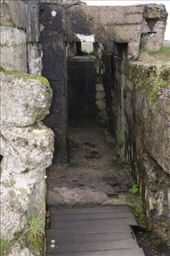 by mitann, Views[281]