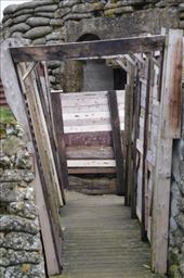 by mitann, Views[309]