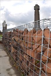 by mitann, Views[198]