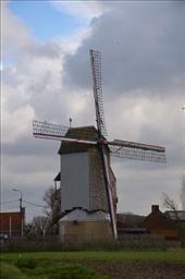 by mitann, Views[249]