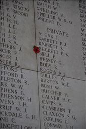 by mitann, Views[378]