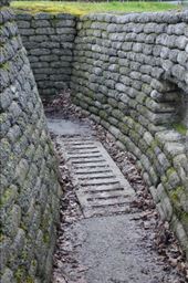 by mitann, Views[155]