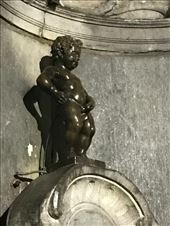 by mitann, Views[295]