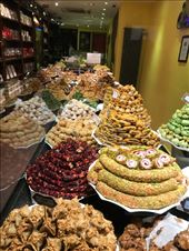 by mitann, Views[225]