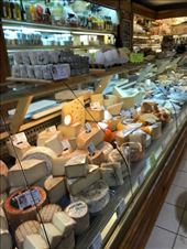 by mitann, Views[224]