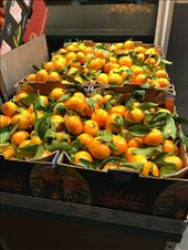 by mitann, Views[209]