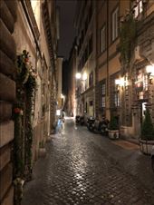 by mitann, Views[458]