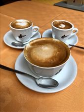 by mitann, Views[233]