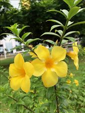 by mitann, Views[152]