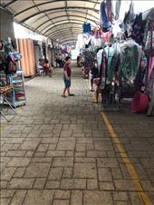 by mitann, Views[179]