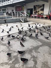 by mitann, Views[286]