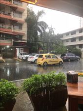 by mitann, Views[186]