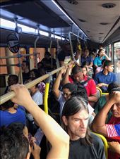 by mitann, Views[162]