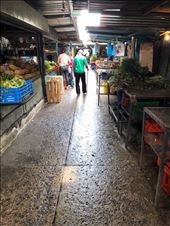 by mitann, Views[170]