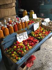 by mitann, Views[186]