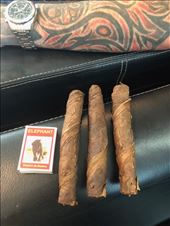 by mitann, Views[207]